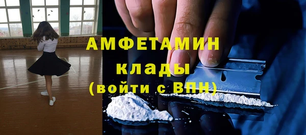 стафф Алзамай