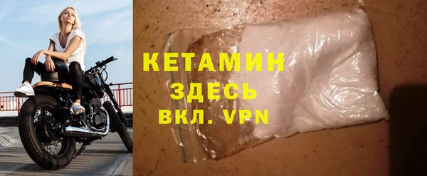 индика Михайловск