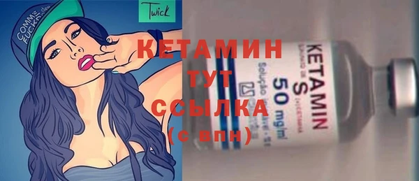индика Михайловск